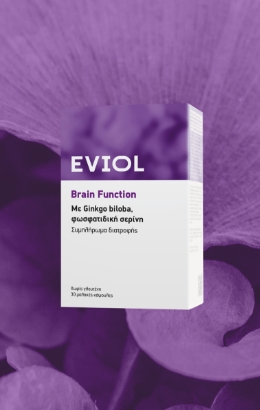 Brain Function